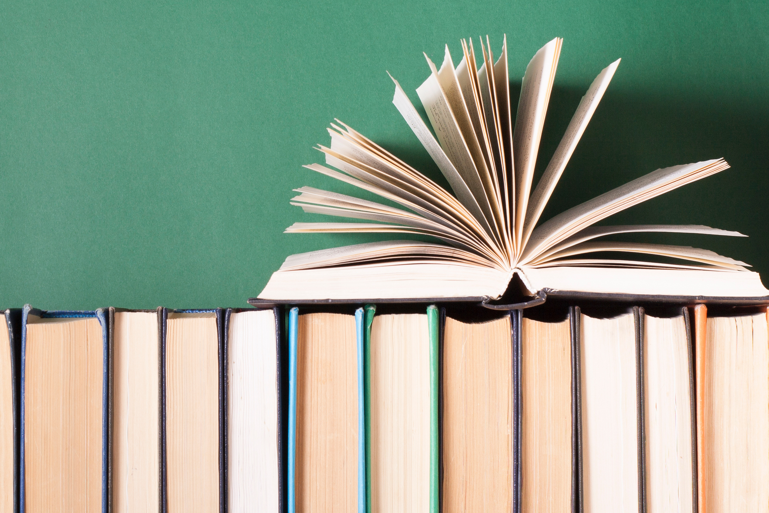 Image of a row of books with one open book on top.